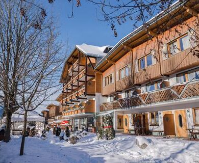 4-daagse Autovakantie naar Ferienalm in Dachstein Tauern