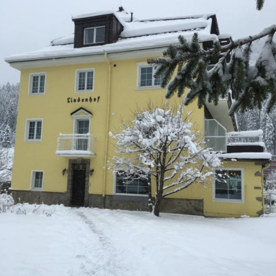 Hotel Lindenhof heeft een geweldige ligging in Bad Gastein: slechts 3 minuten lopen van de Stubnerhkogel lift en de Felsentherme Spa. Ook vind je op slechts 70 meter afstand een bushalte