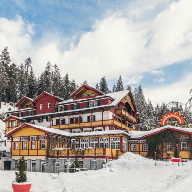 Op een prachtige locatie in het pittoreske dorpje San Candido vind je het karakteristieke Parkhotel Sole Paradiso. Dit authentieke hotel biedt je ruime en sfeervolle kamers en suites die beschikken over een luxe badkamer en een balkon of terras met een uniek uitzicht op de omgeving. Om helemaal tot rust te komen