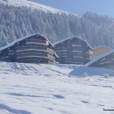 dus vergeet niet om het dorp te verkennen na een dag op de piste. Châtel biedt bovendien een breed scala aan onderling verbonden pistes die geschikt zijn voor zowel beginners als gevorderde skiërs/snowboarders